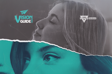 Vision Guide