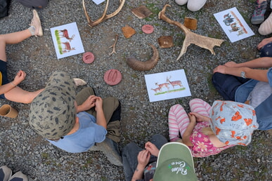 Aus dem Vereinsleben September 2025